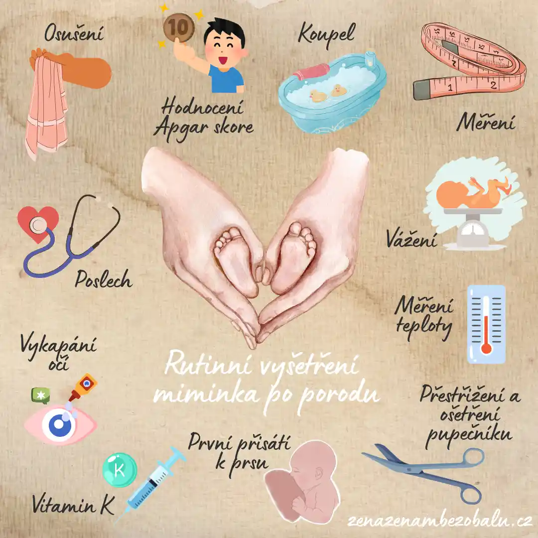 Co vám o šestinedělí pravděpodobně nikdo neřekl