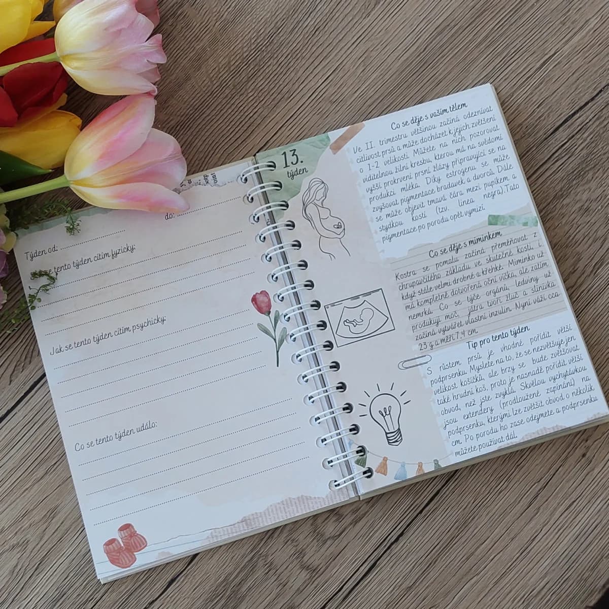 Těhotenský diář (kroužková vazba) – 2