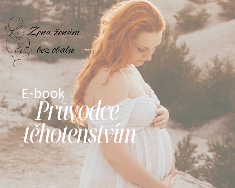 Ebook - Průvodce těhotenstvím