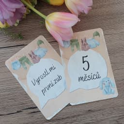 Milníkové kartičky pro miminko - Obrázek 2