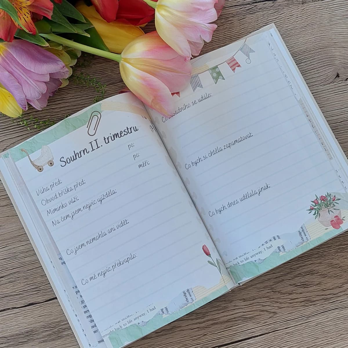 Těhotenský diář (knižní vazba) – 4